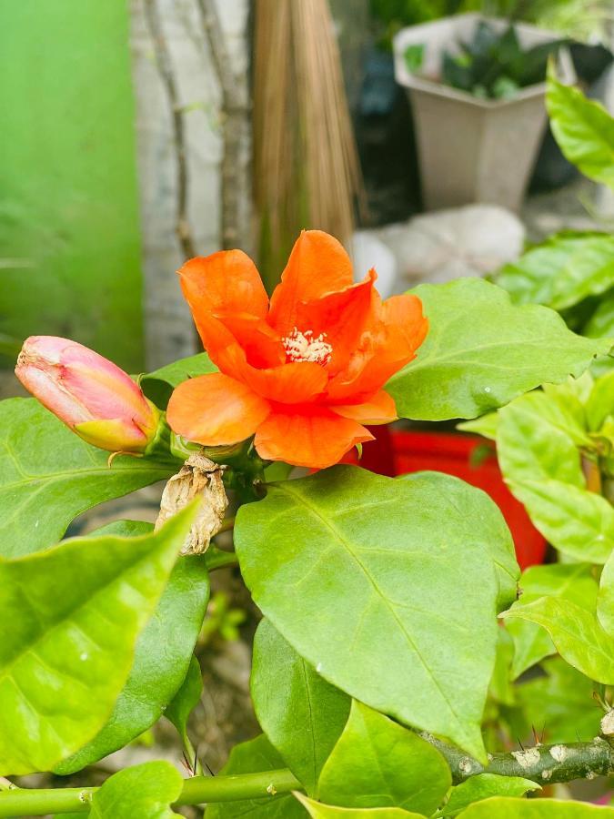 Motel Tuan Phuong Da Nang Esterno foto